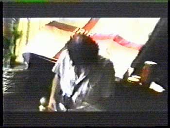 Electric_Dog_House_Generartions_95