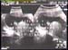 Electric_Dog_House_Generartions_1