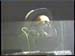 Electric_Dog_House_Generartions_15