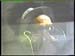Electric_Dog_House_Generartions_65