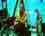 cl_vid09