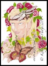 tn Dragonfly � Kelly Barrett 2005