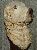Carving