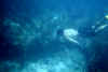 again JT. Most of the time we were snorkling together