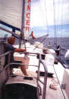 Clint on the deck