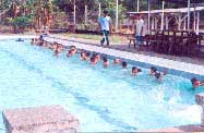 Swimming Sports Clinic