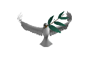 Birdd