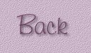 Back to my WLS Journal