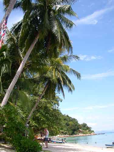 coralbay