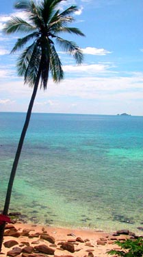 coralbay