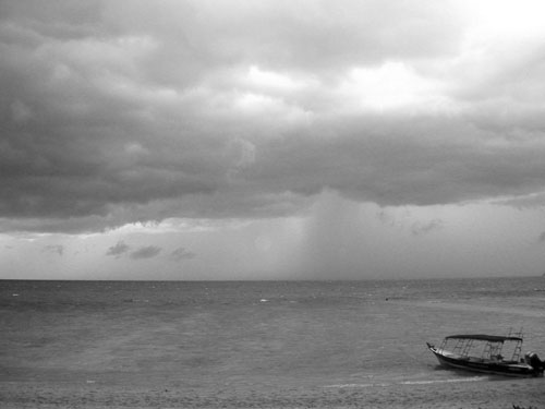 coralbay@storm