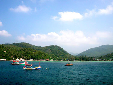 koh tao