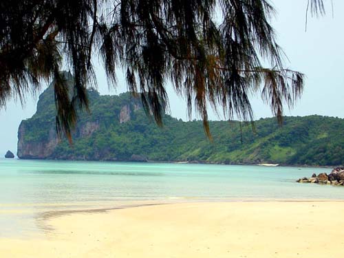 viewpoint bay