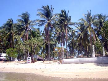 DSCN4376