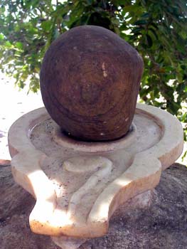 DSCN4176