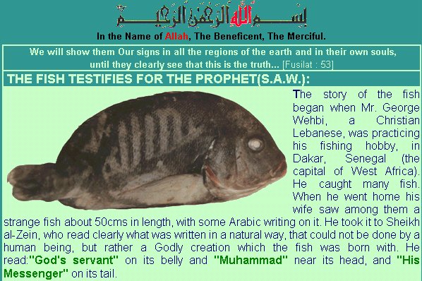 [Allah]