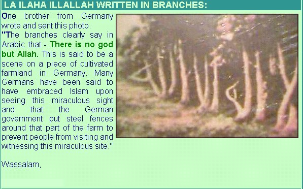 [Allah]