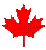 leaf_spin.gif (6383 bytes)