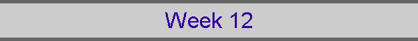 Week 12