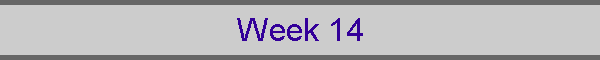 Week 14