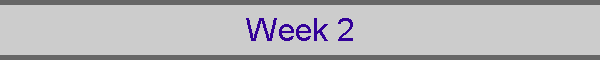 Week 2