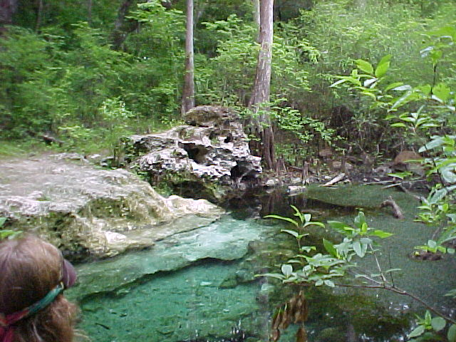 Cow Spring Pool&nbsp; FL&nbsp; 5/30/01