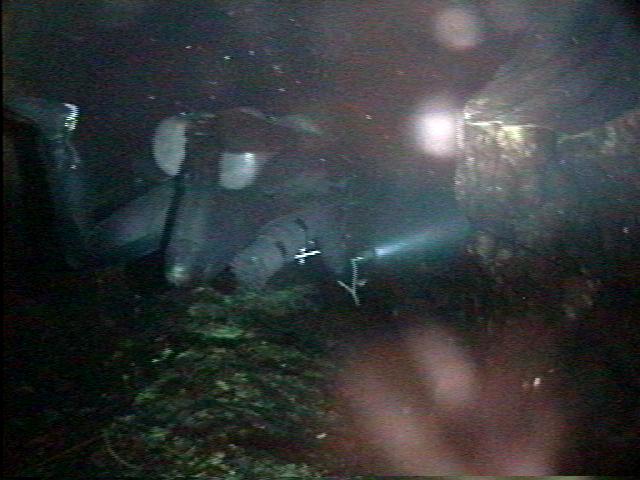 Cow Spring, FL&nbsp; 5/31/01