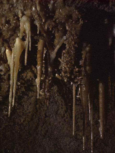 Reed's Cave, SD