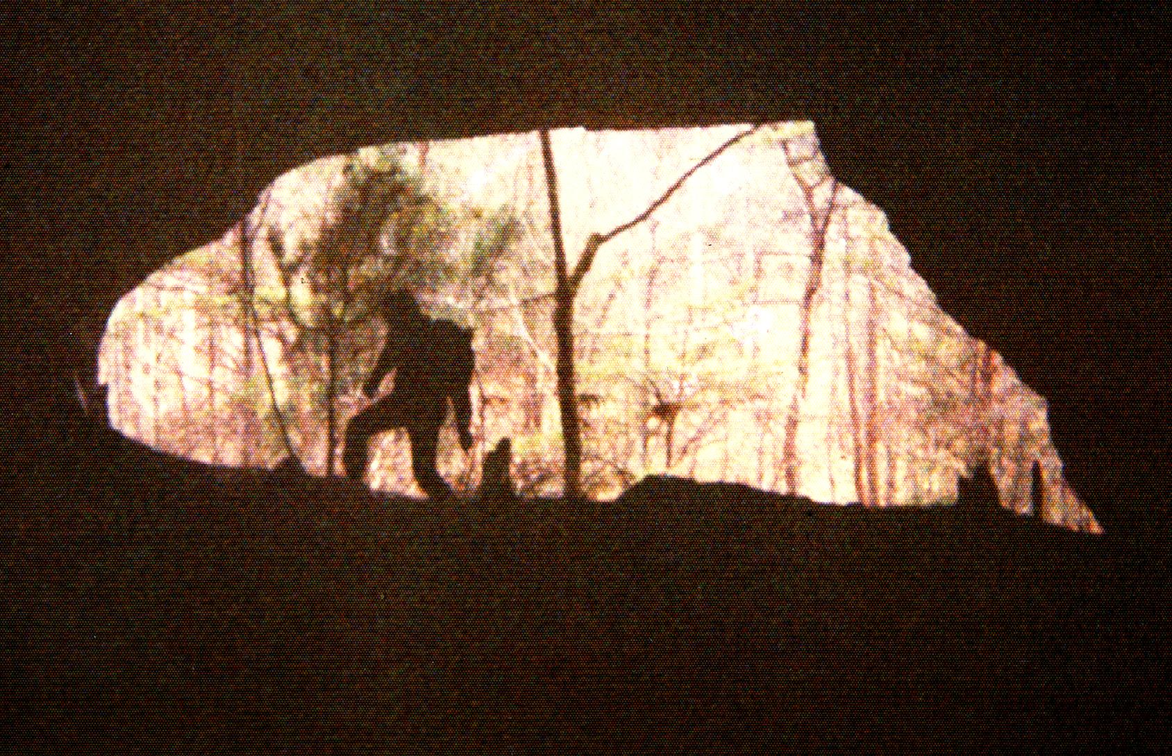 TN CAVE ENTRANCE