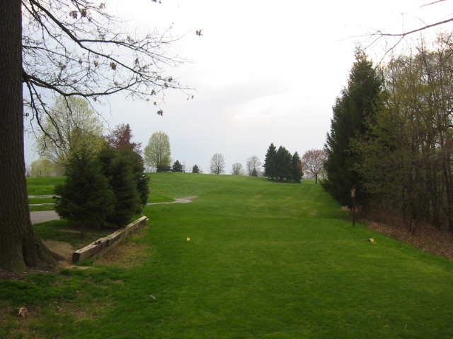 Tee 5