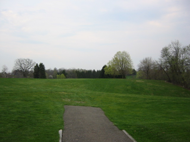 Tee 6