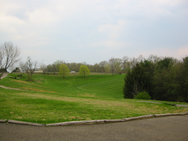 Tee 7