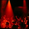 crowd