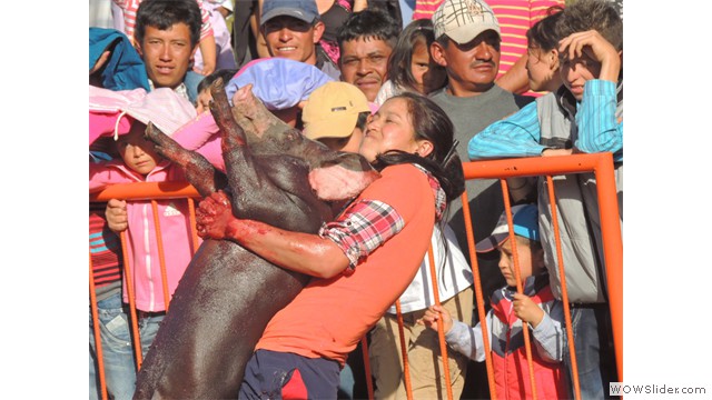 Concurso marrano engrasado