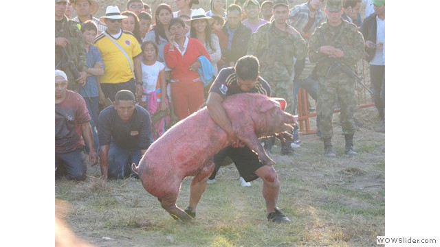 Concurso marrano engrasado