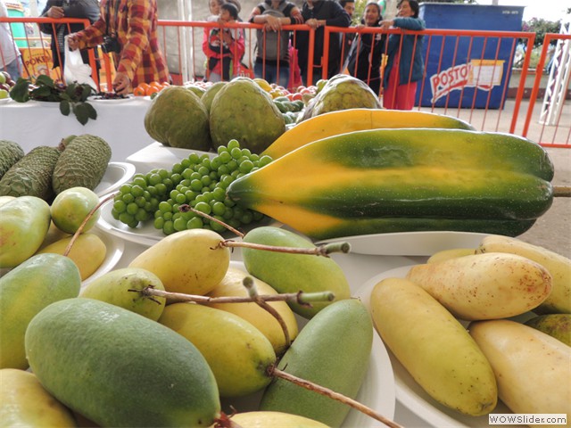 Feria Exposición Fruticola