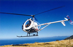 Hughes 269