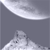 Arctic Anomaly