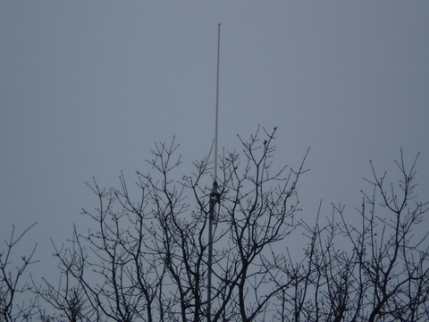 P2280242.jpg