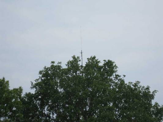 IMG_0736.JPG