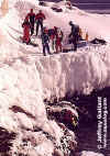 icewallC(39009 bytes)