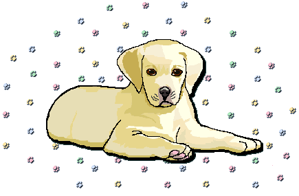 An adorable puppy is hard to resist, but remember, it is also a lifelong commitment.