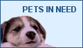 Help pets in need. Click for Care2.com's Race for Pets