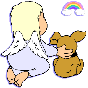an angel and a dog looking towards a rainbow