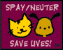 Please spay or neuter your pets