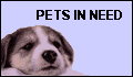 Help pets in need. Click for Care2.com's Race for Pets