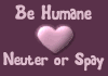 Please spay or neuter your pets