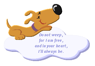 A dog floating on a cloud.