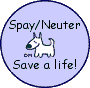 Please spay or neuter your pets. Click for more information.