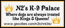 N2's linking logo